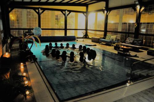 a group of ducks in a swimming pool at Einot Bar in Giv'ot Bar