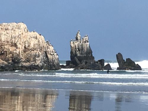 a person in the water in front of a rock formation at Bungalows Cerro Azul in Cerro Azul