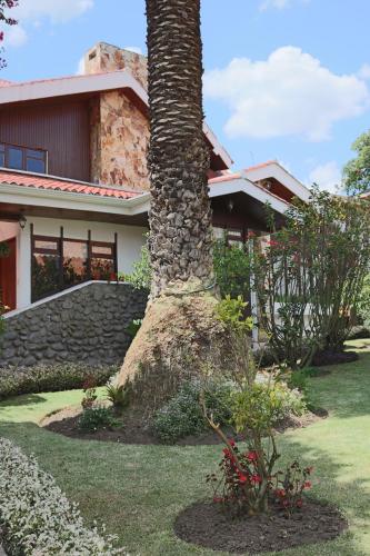 a palm tree in front of a house at Casatodosantos in Cuenca