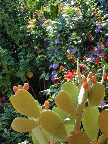 La Foresteria Garden Boutique B&B photo 44
