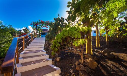 Κήπος έξω από το Hotel Fiesta