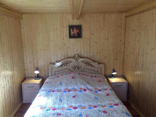 ein Schlafzimmer mit einem Bett mit zwei Kommoden und zwei Lampen in der Unterkunft Guest House Shavnabada in Ambrolauri