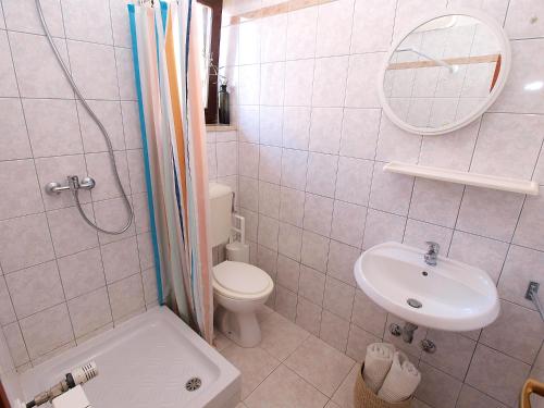 Koupelna v ubytování Apartments Dusanka 799