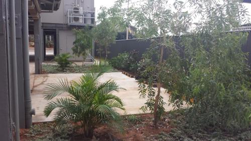 ogród z palmami i ogrodzeniem w obiekcie Onslow Apartments w Onslow