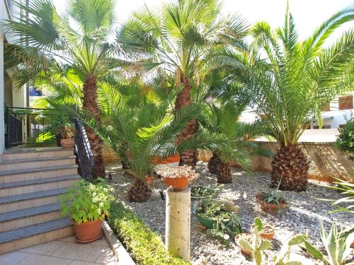 Rooms Ivica 1452 – Photos 3