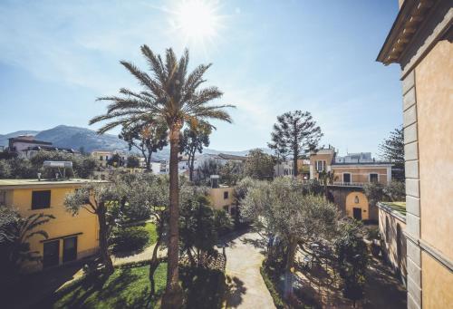a palm tree in the middle of a street at Villa Crawford in Sant'Agnello