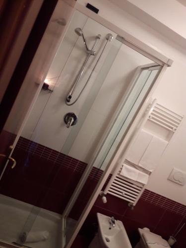 a bathroom with a shower and a toilet and a sink at Hotel Miralago in Piediluco