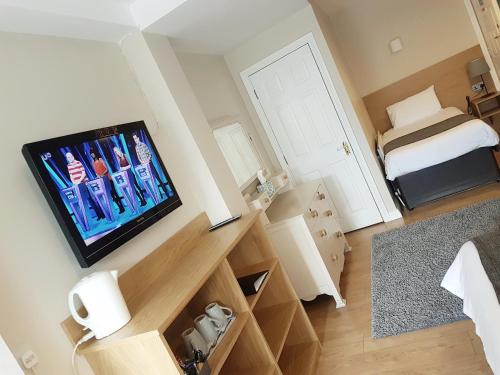 Televízia a/alebo spoločenská miestnosť v ubytovaní Belfast House