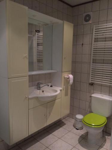 uma casa de banho com um WC verde e um lavatório em Lin-La-Bedin em Vielsalm