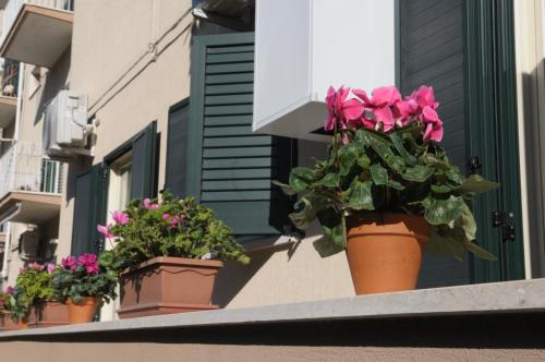 Della torre rooms – Photos 2