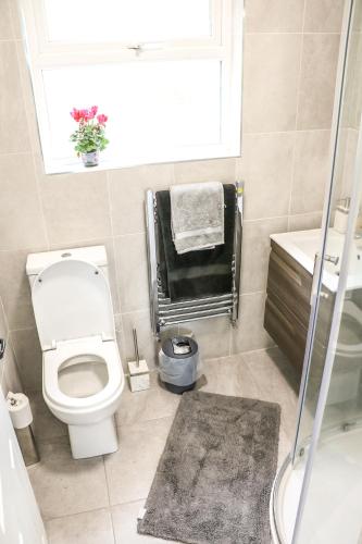 a bathroom with a toilet and a sink and a window at Carlingford Sea Cottage in Carlingford