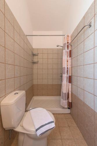 a bathroom with a toilet and a shower at Athena Villa in Kolimbia