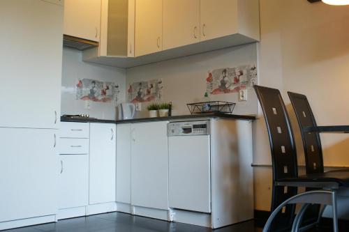 Kuchyň nebo kuchyňský kout v ubytování Domki i Apartamenty Całoroczne Koliber
