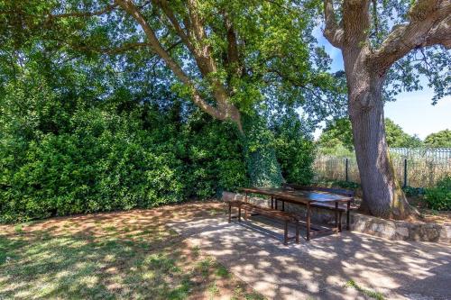 Apartments Karin – Photos 3