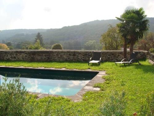 a swimming pool with two chairs and a palm tree at Manoir d'Aubeterre in Marsat