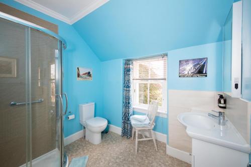 a blue bathroom with a toilet and a sink at Invermay in Blairgowrie