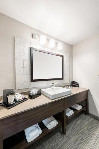a bathroom with a sink and a large mirror at Country Inn & Suites by Radisson, Cookeville, TN in Cookeville