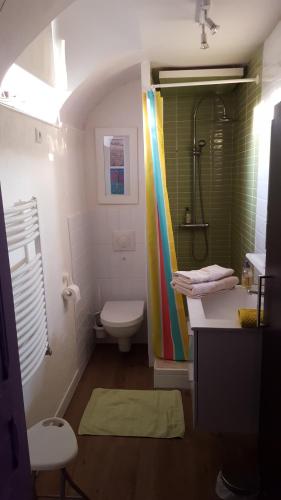 a bathroom with a rainbow shower curtain and a toilet at Chambre d'Hôtes Jules & Annette in Vittel