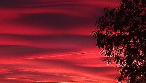 a red sky with a tree in the foreground at B&B Villa Claudia in Lavena Ponte Tresa