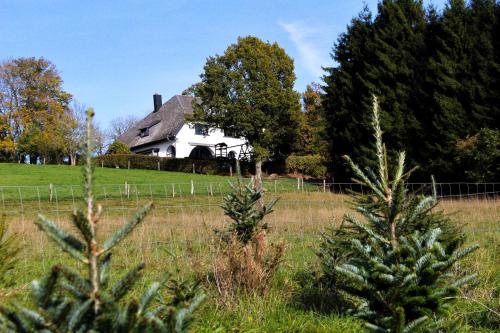 an old white house in a field with trees at Les Alisiers in Nadrin