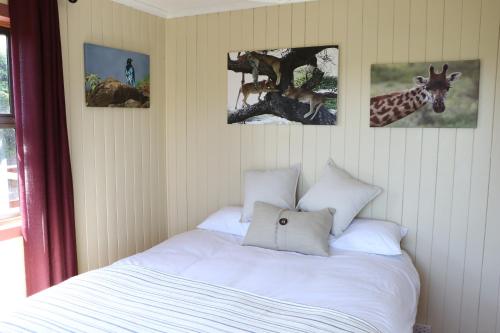 a bedroom with a bed with four pictures on the wall at Allan Grove in Knysna