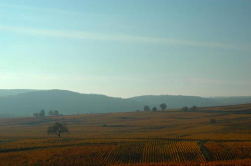 Photo de la galerie de l'établissement Les Chambres Buissonnieres, à Ladoix Serrigny