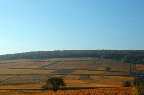 Photo de la galerie de l'établissement Les Chambres Buissonnieres, à Ladoix Serrigny