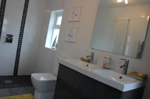 a bathroom with a sink and a toilet and a mirror at Cara-Na-Mara in Killough