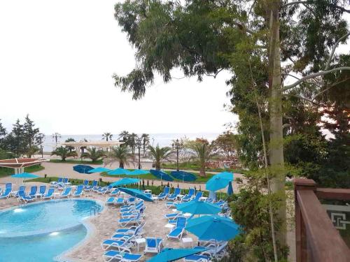 a pool with blue chairs and umbrellas at Dreamland oasis in Chakvi in Chakvi