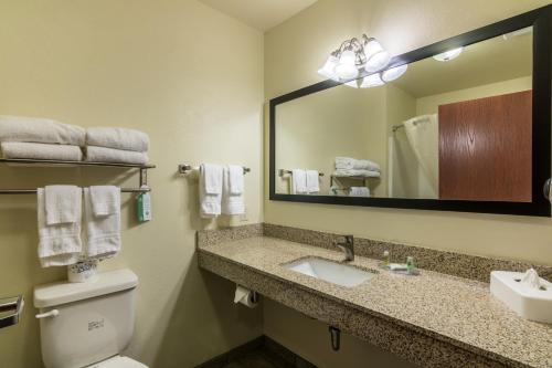 Phòng tắm tại Cobblestone Inn & Suites - Soda Springs
