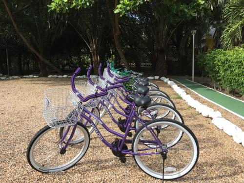 a row of purple bikes parked next to a tennis court at Laru Beya Resort in Placencia