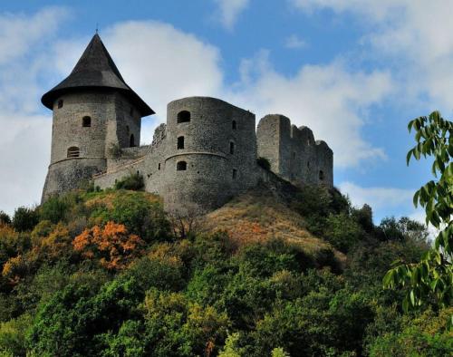 a castle on top of a hill with trees at Kis Rigó vendégház in Salgótarján