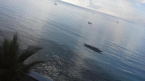 an aerial view of a boat in the water at House Rapunzel in Oslob