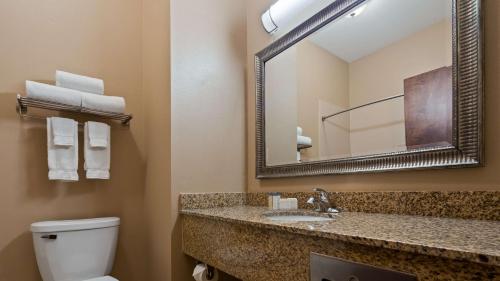 a bathroom with a sink and a mirror and a toilet at Best Western Plus Louisa in Louisa