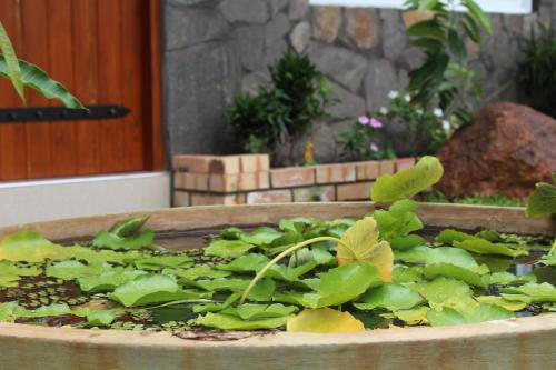a planter filled with green plants in front of a door at Airport Green Hotel in Katunayake