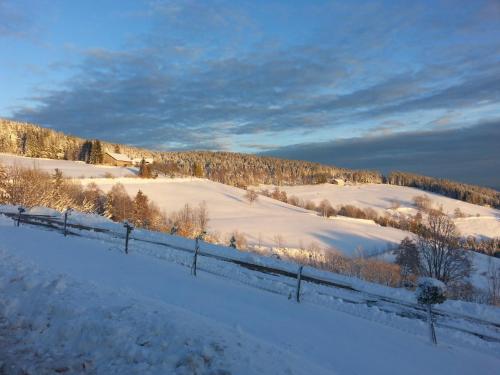 a snow covered field with a fence and trees at Apartment Panorama in Zreče