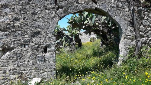 an arch in a stone wall with a field of flowers at Castle Hotel in Himare