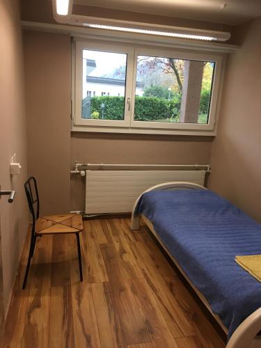 ein Schlafzimmer mit einem Bett und einem Fenster in der Unterkunft Apartments in Leafy Suburb in Kehrsatz