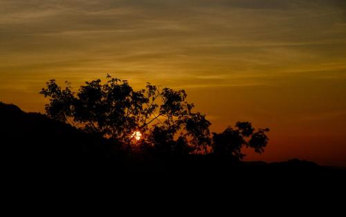 a silhouette of a tree with the sunset in the background at Ella Planters Bungalow in Ella