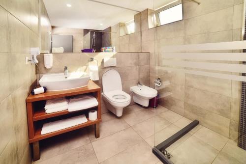 a bathroom with a toilet and a sink and a shower at Hotel President in Timişoara