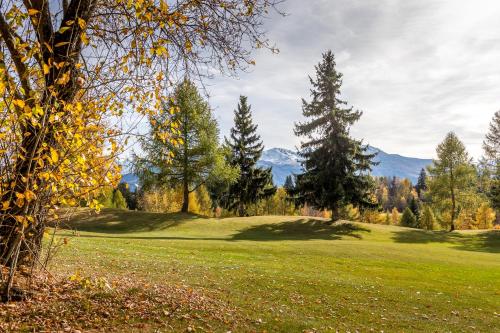 Gallery image of Hotel Elite in Crans-Montana