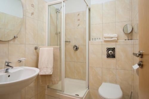 a bathroom with a shower and a sink and a toilet at apartmány Marco Shipping in České Budějovice