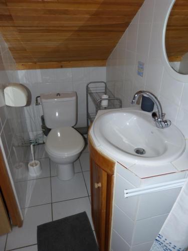 a small bathroom with a toilet and a sink at La Balme in Puy-Saint-Vincent