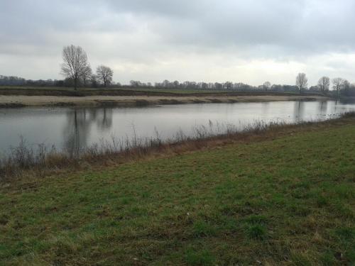 a pond in a field with trees in the distance at Langs De Maas in Boxmeer