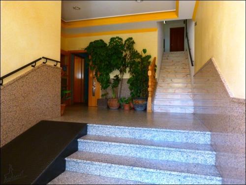 a staircase in a building with potted plants at Hostal Vadillo in Losar de la Vera