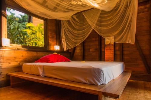 a bed in a wooden room with a window at Le matelot de la baie in Deshaies