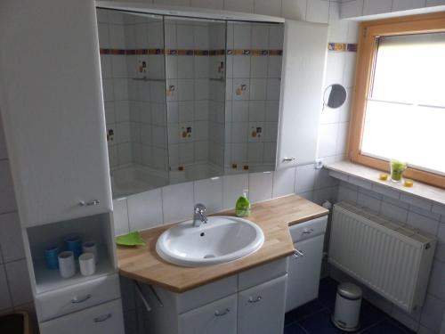 een badkamer met een wastafel en een douche bij Ferienwohnung Janko in Meßstetten