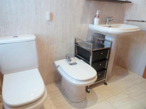 ログローニョにあるApartamentos Sarabiaのバスルーム(白いトイレ、シンク付)