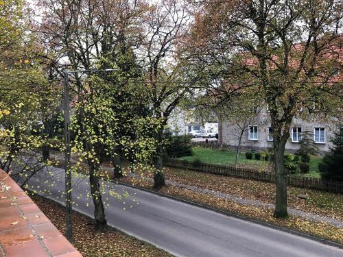 a road with trees on the side of a street at Apartament Perła Kartuz z sauną in Kartuzy