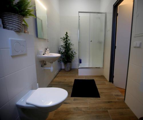 ein Bad mit einem WC, einem Waschbecken und einer Dusche in der Unterkunft Sport Pension Cibulka in Prag